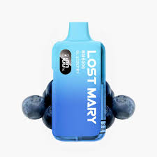 BLUEBERRY LOST MARY BM6000 REFILL PACK