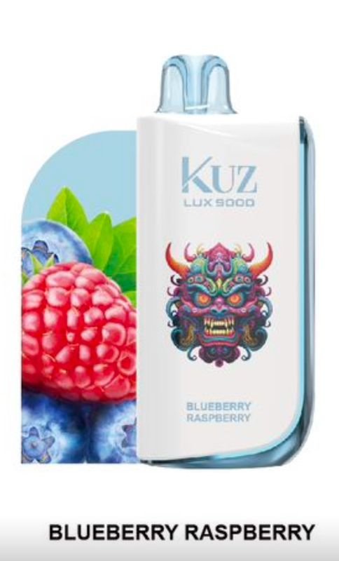 Kuz LUX 9000 Puffs Blueberry Raspberry